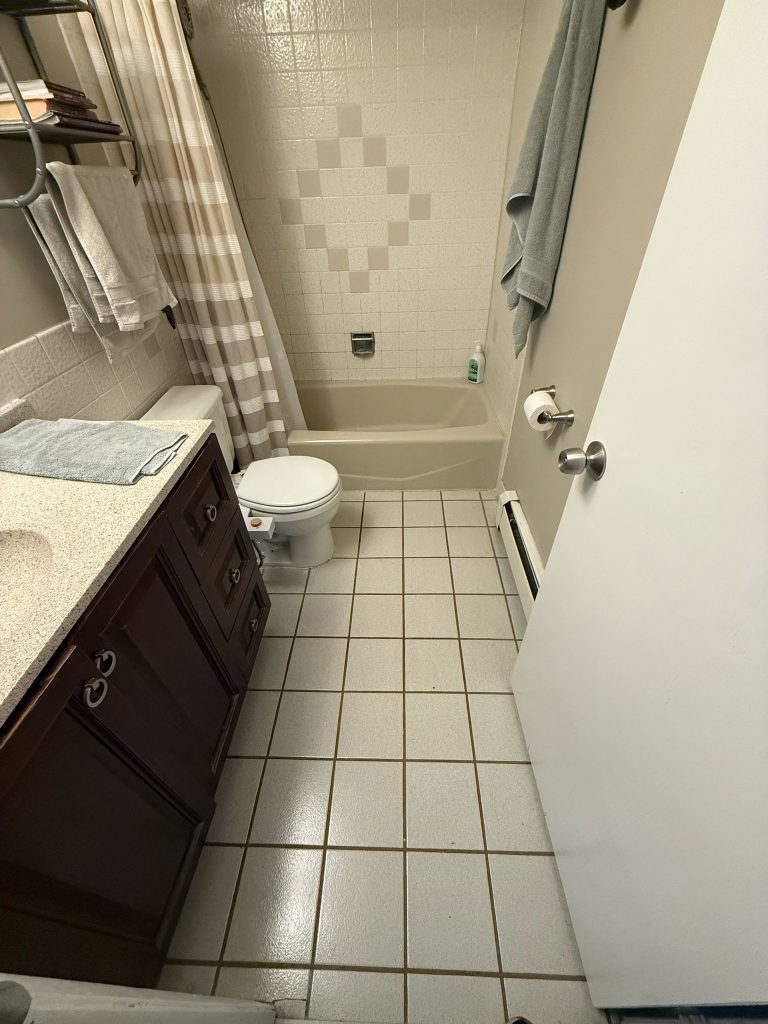 Before photo for a Hoffman Estates bathroom renovation showing shower area conditions