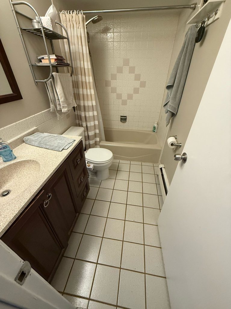 Before shower angle for a Hoffman Estates custom tile bathroom renovation