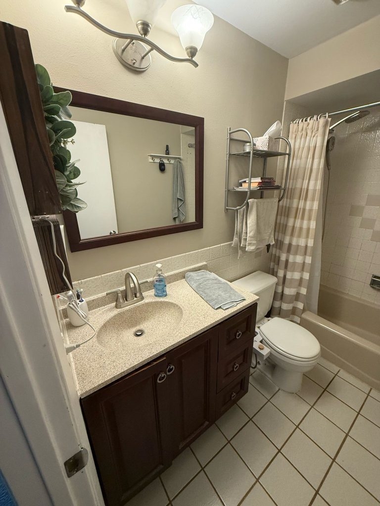 Before vanity and toilet area for a Hoffman Estates bathroom renovation